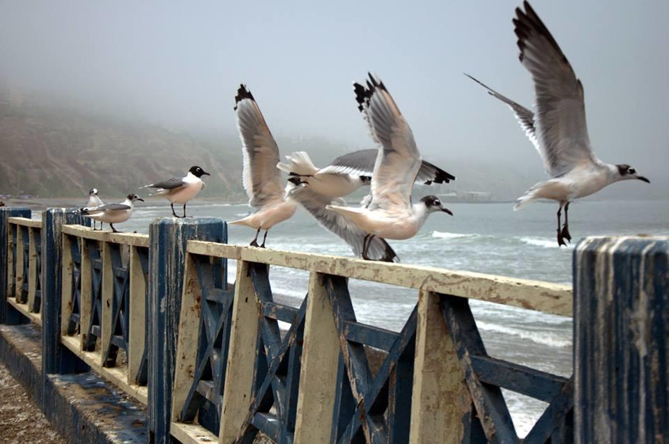 Hostal Zig Zag Lima